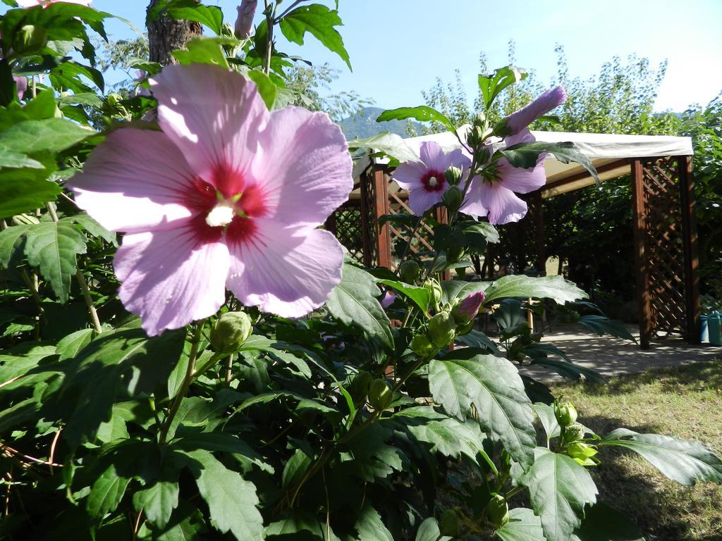 B&B Villa Maria Terni Luaran gambar